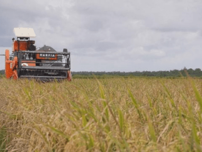 Komisi VI DPR: Ketahanan Pangan Tak Boleh Didominasi Swasta, BUMN Harus Perkuat&nbsp;Peran